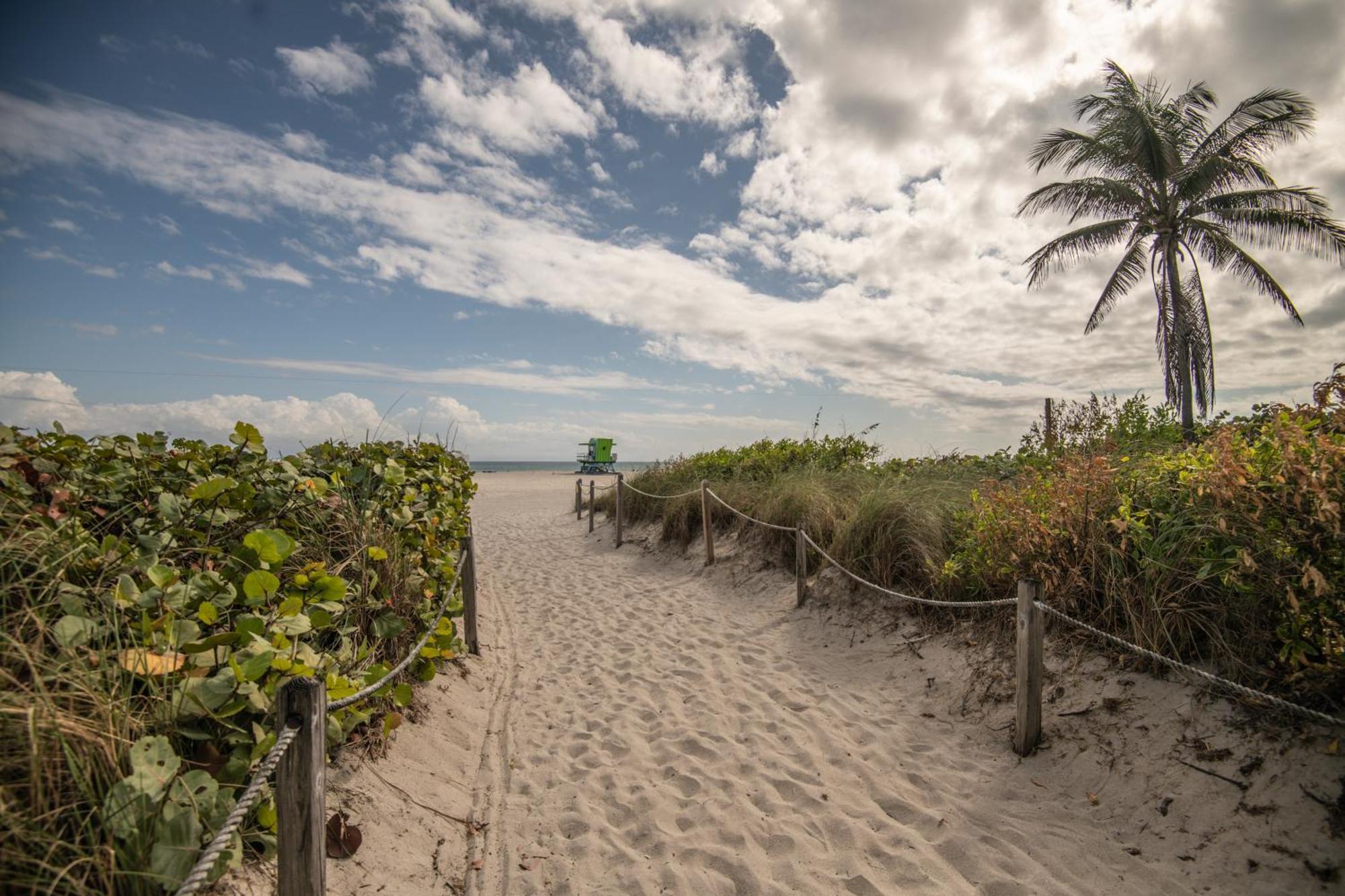 The Cove By Renzzi (Adults Only) Hotel Miami Beach Eksteriør billede