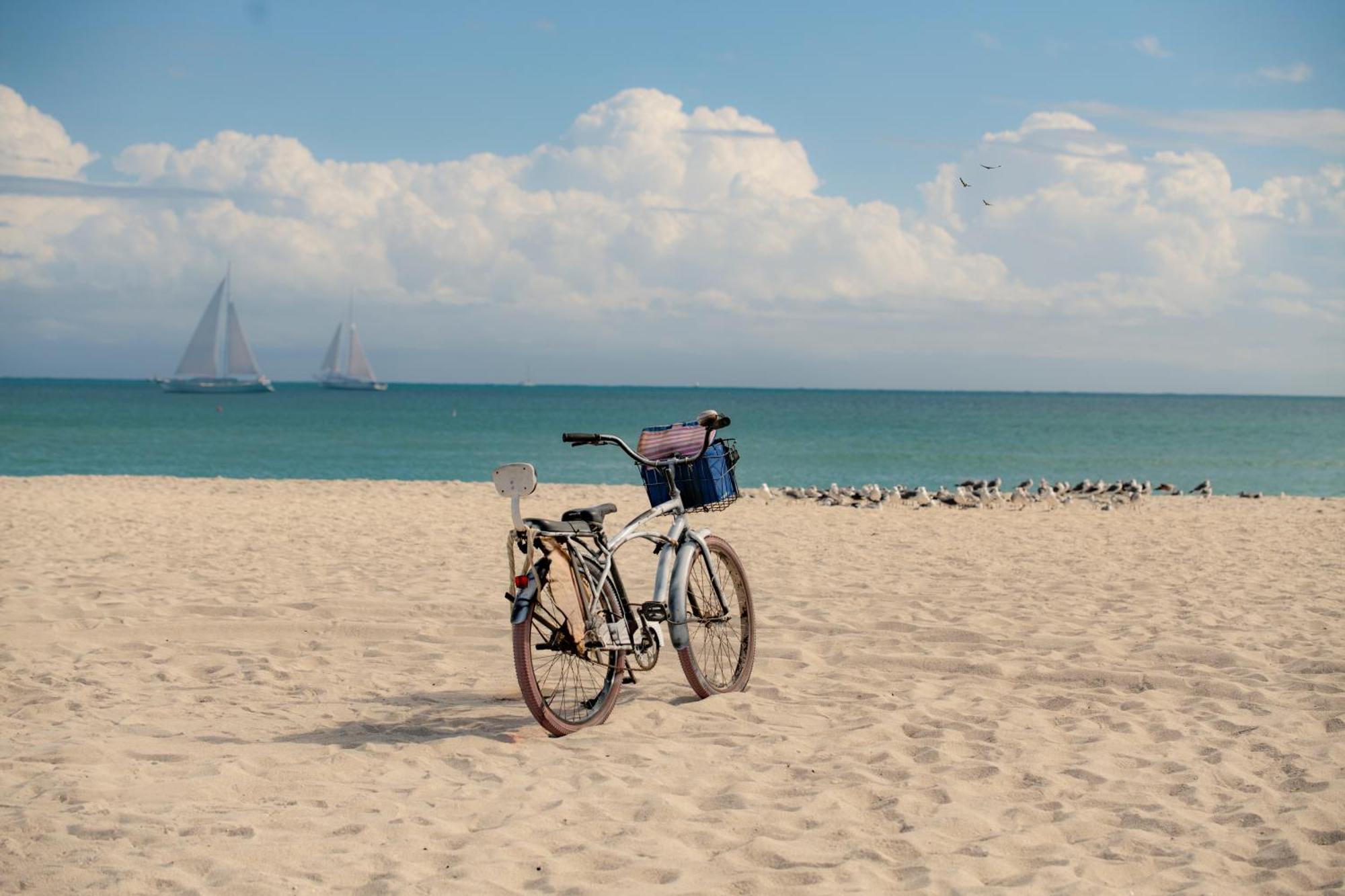 The Cove By Renzzi (Adults Only) Hotel Miami Beach Eksteriør billede
